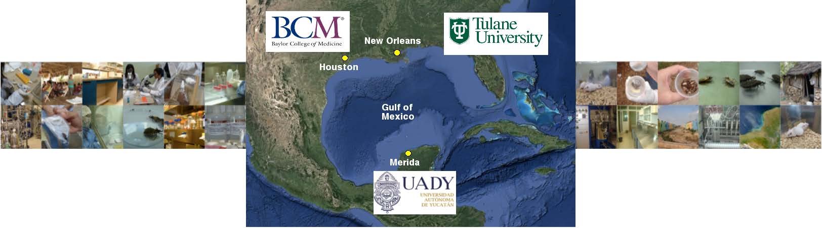 Programa Primera Reunión Trop-G